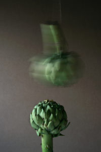 Two Artichokes, one suspended from a string