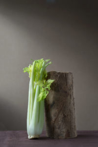 Celery leaning against a small log