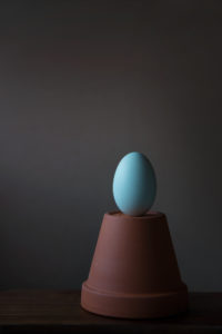 Blue chicken egg perched on a terracotta plant pot